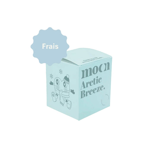 Chandelle bougie cire soya naturelle arctic breeze Moonday odeur fraîche